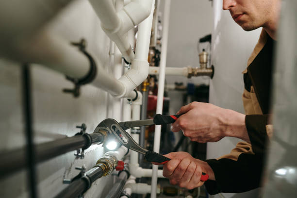 Best Sewer Line Repair  in Forest City, IA