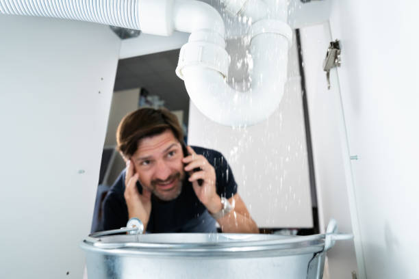 Best Gas Line Repair  in Forest City, IA