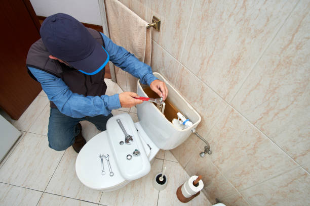 Best Clogged Drain Plumber  in Forest City, IA