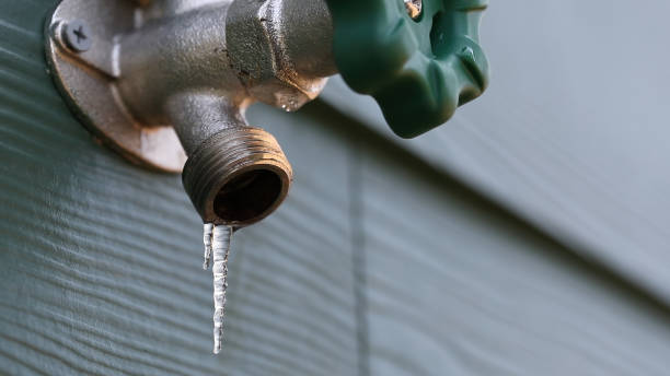 Best Commercial Plumbing Services  in Forest City, IA