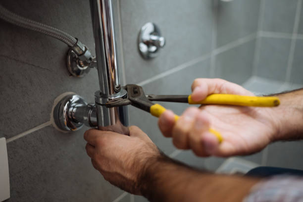 Best Water Leak Repair  in Forest City, IA