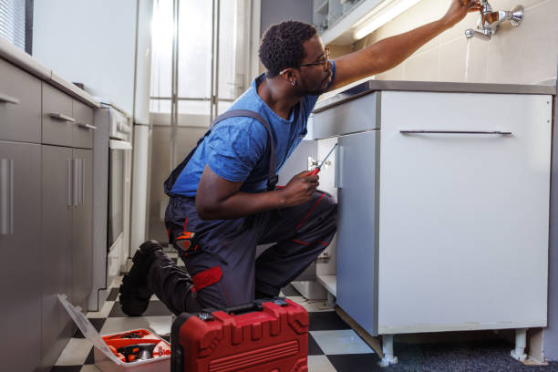 Best Local Plumber Services  in Forest City, IA